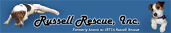 Jack Russell Rescue